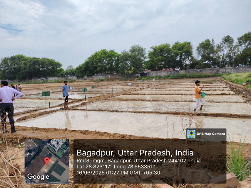 Mental Well-being