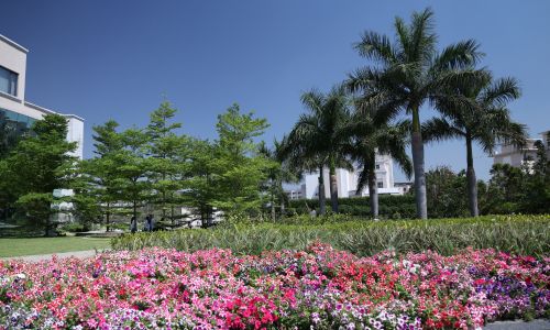 Water Conscious Planting