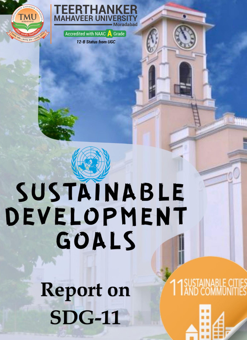SDG 11 Report 2024