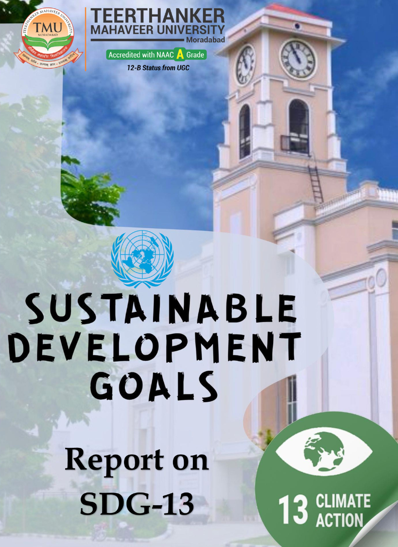 SDG 13 Report 2024