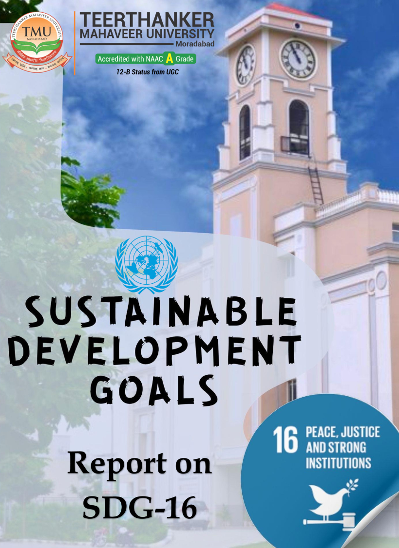 SDG 16 Report 2024