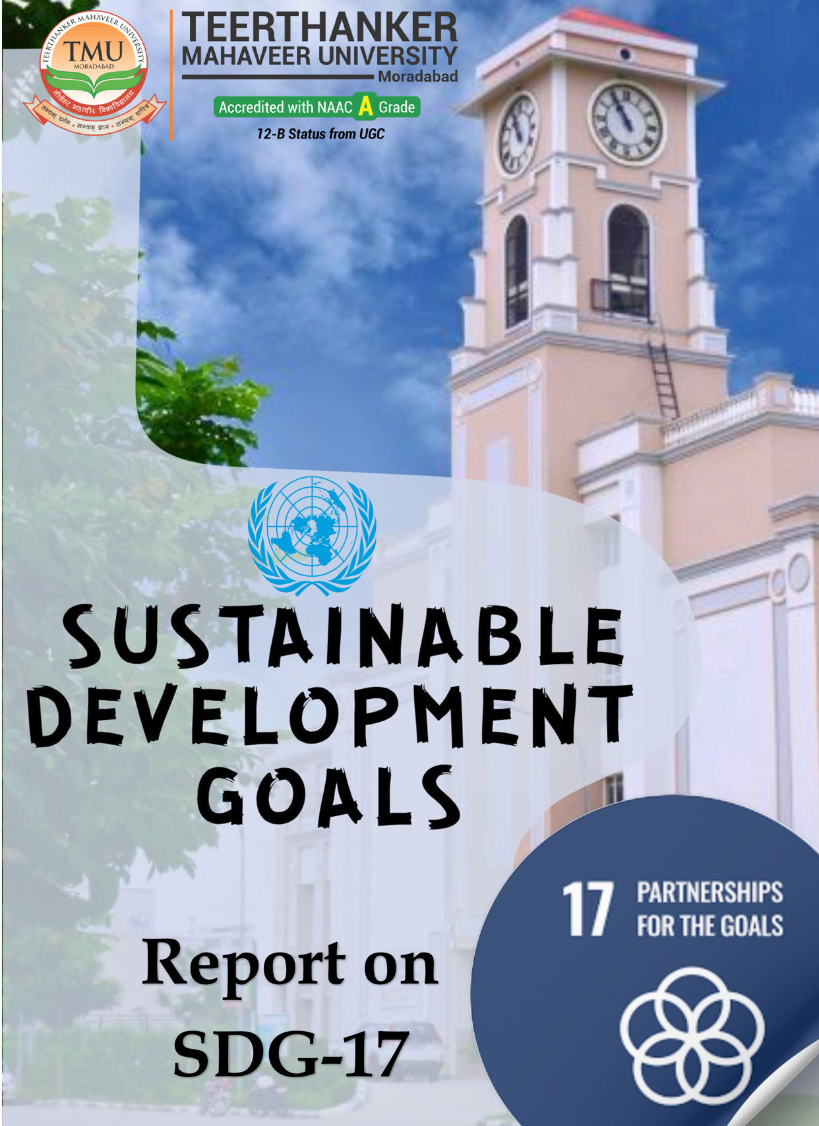 SDG 17 Report 2024