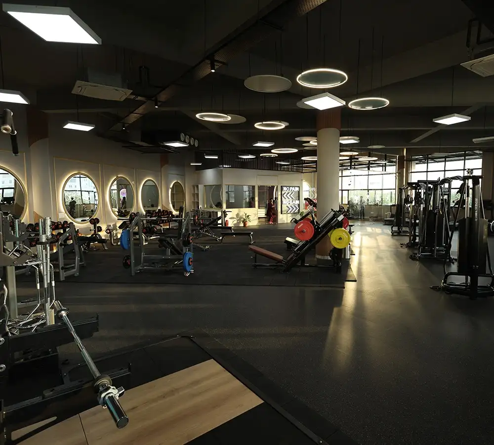 Gymnasium