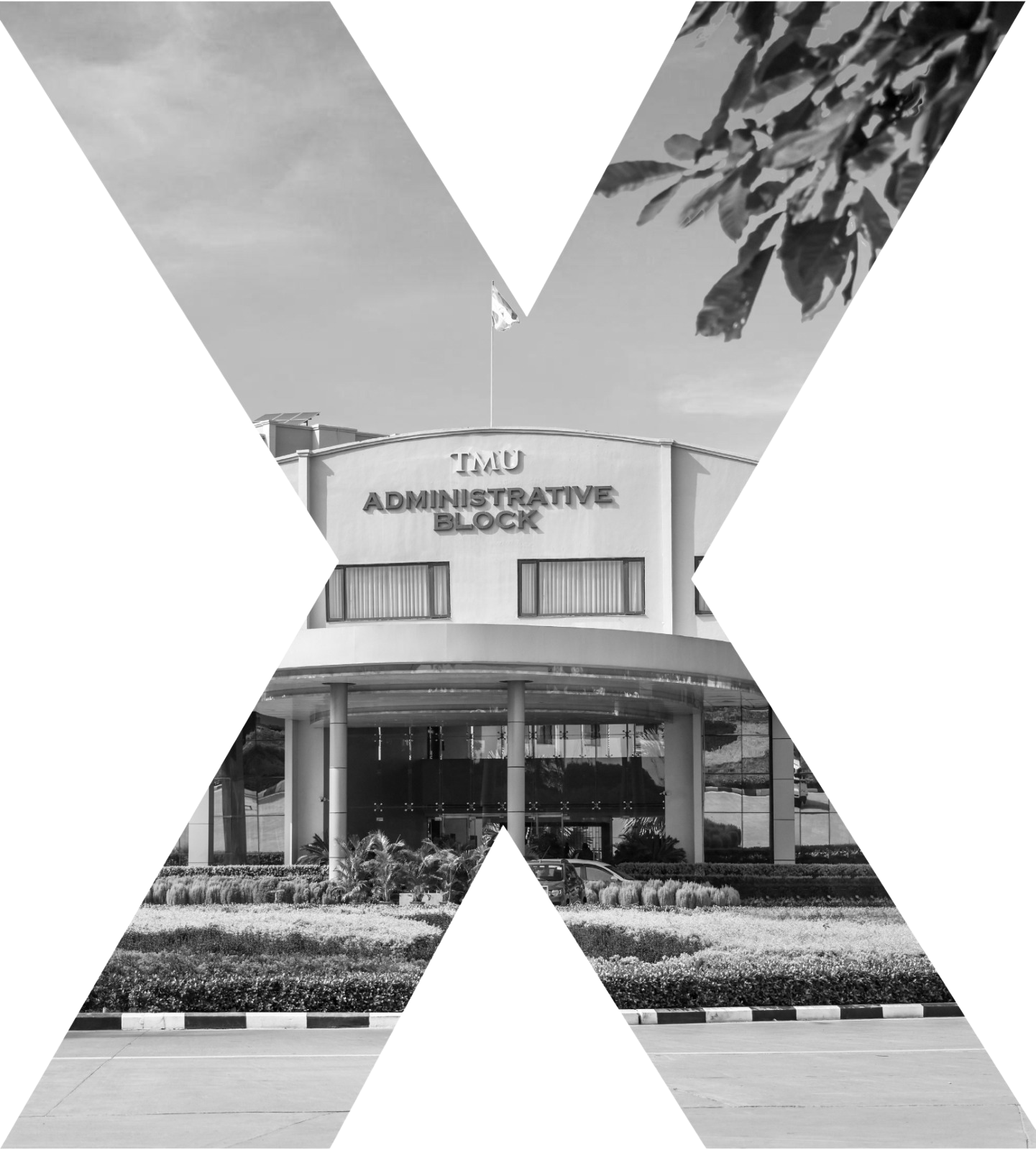 TEDx X