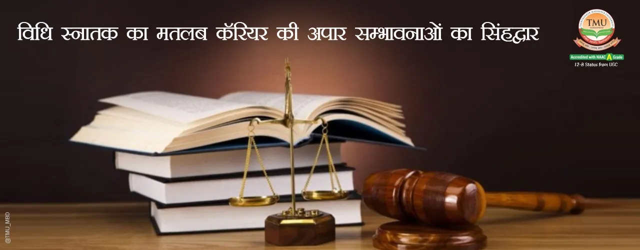 Law as a Career: Vast Job Opportunities from University Education