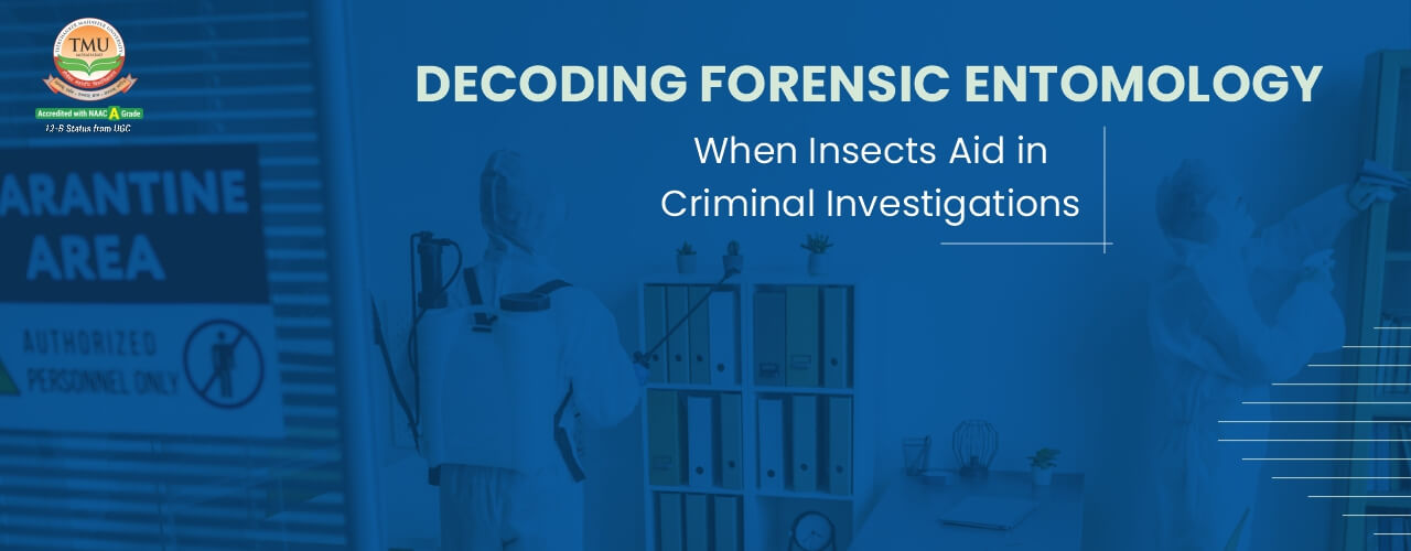Decoding Forensic Entomology: When Insects Aid in Criminal Investigations