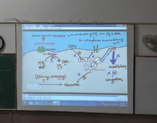 Animated Strip Event on Drugs Acting on Autacoids Held at TMU